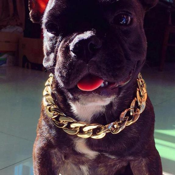 Thick Gold Chain Pets Safety Collar