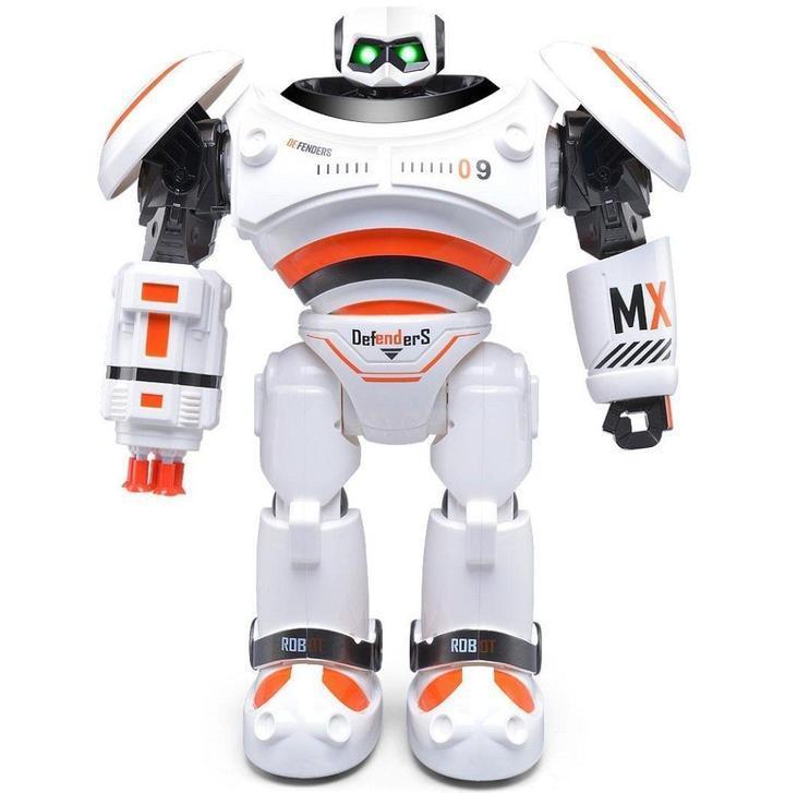Intelligent Programmable Robot