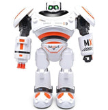 Intelligent Programmable Robot