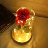 LED Beauty Rose Battery Powered Red Flower Light Desk Lamp