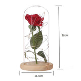 LED Beauty Rose Battery Powered Red Flower Light Desk Lamp