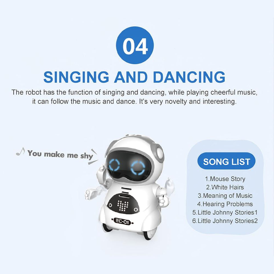 Interactive Pocket Talking Robot
