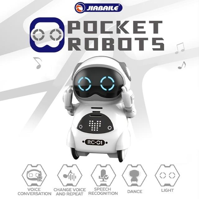 Interactive Pocket Talking Robot