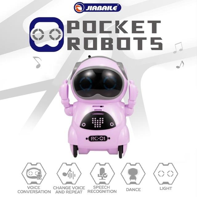 Interactive Pocket Talking Robot