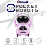Interactive Pocket Talking Robot