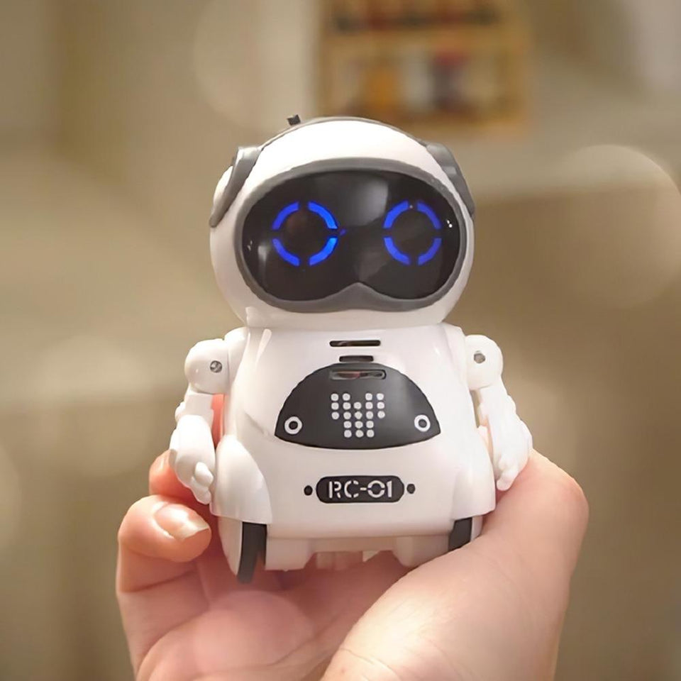Interactive Pocket Talking Robot