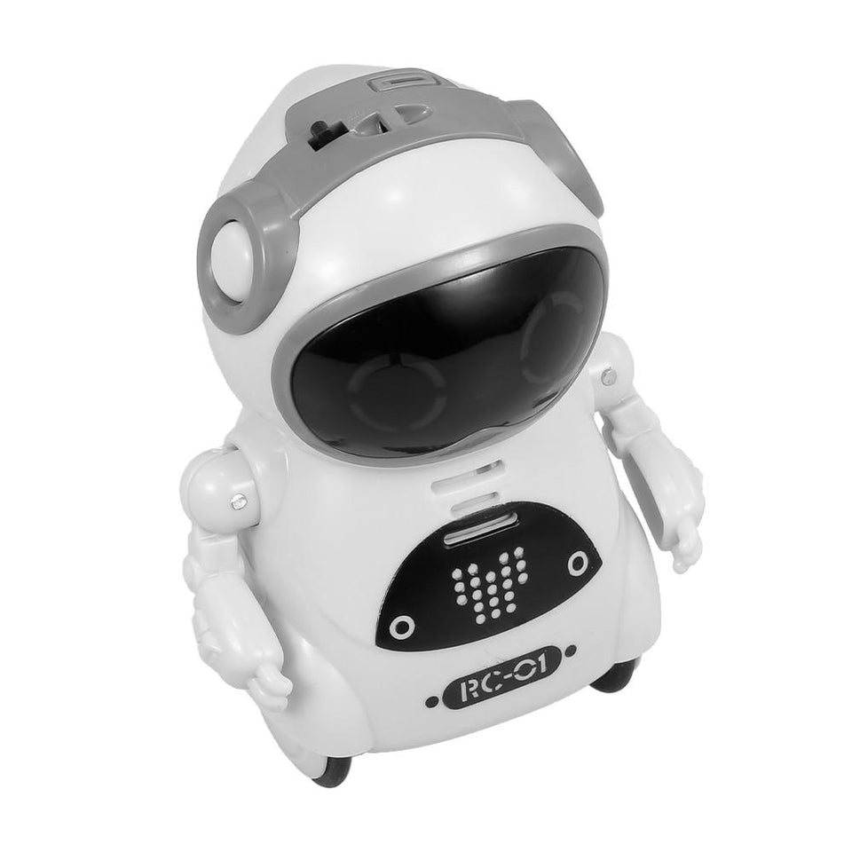 Interactive Pocket Talking Robot