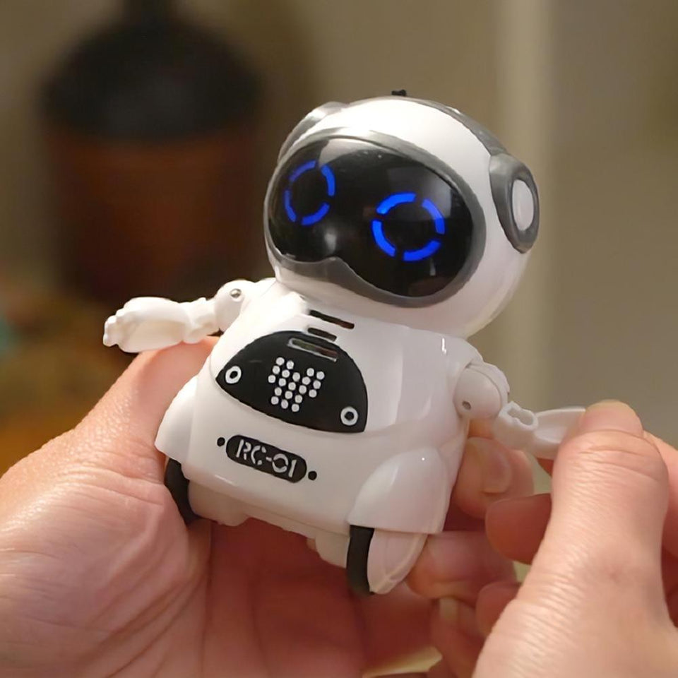 Interactive Pocket Talking Robot