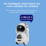 Interactive Pocket Talking Robot